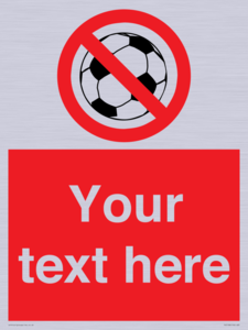 Custom No Ball Games Sign